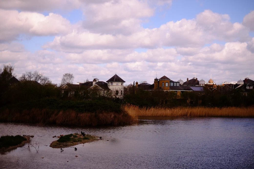 a lake with reeds, rooftops behind