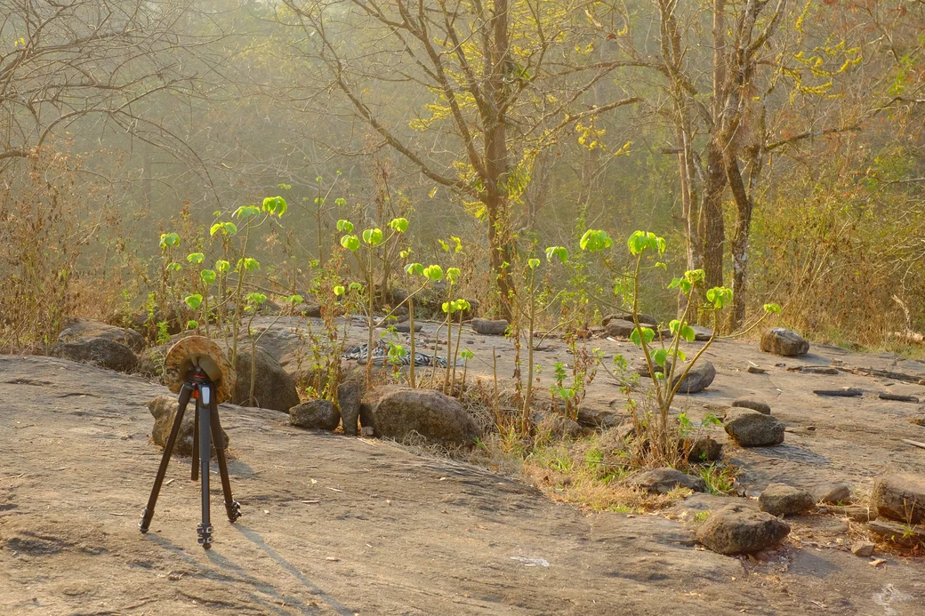 a tripod on rock in morning haze